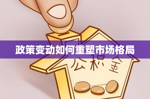 深州政策变动如何重塑市场格局