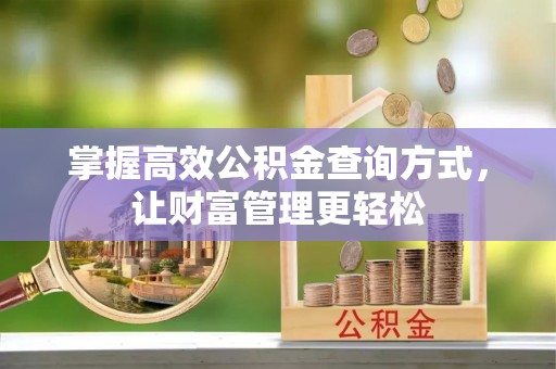 深州掌握高效公积金查询方式，让财富管理更轻松