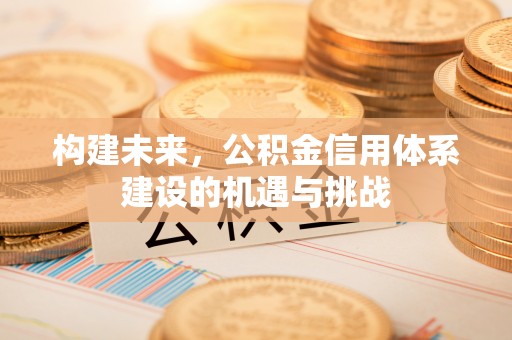 深州构建未来，公积金信用体系建设的机遇与挑战