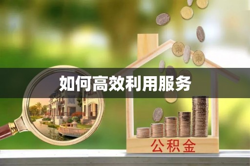 深州如何高效利用服务