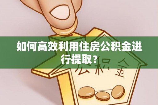 深州如何高效利用住房公积金进行提取？